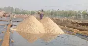 কোরবানির লবণের দাম বেড়েছে ৩৭০ টাকা, মজুত থাকার পরও সংকট