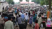 কোরবানির হাটে বিক্রির অপেক্ষায় স্থানীয় গরু-মহিষ