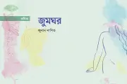কবিতা: শিকারি ইগলের নখরে অন্ধকারে আলোর সন্ধান
