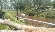 নালিতাবাড়ীতে কালবৈশাখীতে বিদ্যুৎ বিপর্যয়, ৪০ হাজার গ্রাহক অন্ধকারে