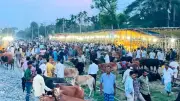 সাগরে নিখোঁজ পর্যটকের মরদেহ ১৮ ঘণ্টা পর উদ্ধার