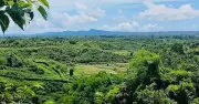 বান্দরবানে মাইন বিস্ফোরণে তিন বাংলাদেশি নিহত