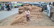 ঈদুল আজহায় রাজধানীর পশুর হাটে গো-খাদ্যের অস্থায়ী বাজার জমে উঠছে