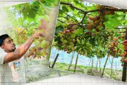 সচিবালয়ে আগুন: ফায়ার সার্ভিসের ১২ ইউনিট কাজ করছে