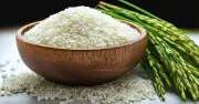 বাংলাদেশের ধান উৎপাদন: খাদ্য নিরাপত্তার উপর ক্রমবর্ধমান চাপ