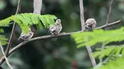 বাংলাদেশের ফটো সিরিজ: প্রাকৃতিক সৌন্দর্যে মুগ্ধ