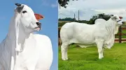 হাল ফ্যাশনের নতুন লাইফস্টাইল আর্টিকেল প্রকাশ