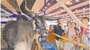ঈদুল আজহায় চট্টগ্রামে খামারমুখী ক্রেতা, আগেভাগেই শেষ বিক্রি