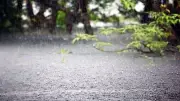 স্বস্তির বৃষ্টিতে ভিজল রাজধানী, কমবে তাপমাত্রা