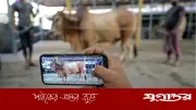 অনলাইন ও প্যাকেজ কুরবানি কি ইসলামি শরীয়তে জায়েজ?