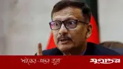 অন্তর্বর্তী সরকারে ‘কিচেন কেবিনেট’ সক্রিয় ছিল: তৌহিদ হোসেন