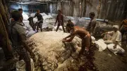 কোরবানির চামড়া সংগ্রহে ট্যানারির প্রস্তুতি, ঋণ বিতরণ অপর্যাপ্ত