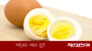 দিনে ২টি ডিম খাওয়ার ৫টি আশ্চর্য উপকারিতা জেনে নিন