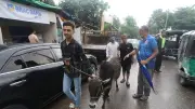 দুই ঘণ্টা দরদামের পর ৭৫ হাজার ৫০০ টাকায় বিক্রি হলো গরুটি