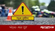 হাজীগঞ্জে নানির সাথে রাস্তা পারাপারে ট্রাকচাপায় শিশু নিহত