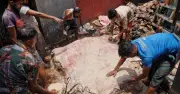 চামড়া খাত: সংকটে রপ্তানি, ব্যাংক ঋণ ও ঈদের বাজার