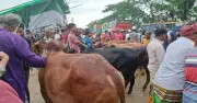 গাবতলীতে সকালের বৃষ্টিতে তীব্র যানজট, ভোগান্তিতে মানুষ