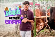 ভিডিও: নতুন বছরের প্রস্তুতি চলছে পুরান ঢাকায়