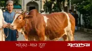 কুরবানির পশু বাড়িতে আনার পর স্বাস্থ্য সুরক্ষায় করণীয়