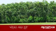ঈদে সুন্দরবনে বাড়তি সতর্কতা, কর্মীদের ছুটি বাতিল