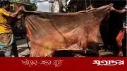 কুরবানির চামড়ার বাজারে ধসের পাঁচ কারণ