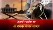 লেবাননে ইসরায়েলি হামলায় নিহত ৩১, বাংলাদেশি নারী নিম্নির এভারেস্ট জয়, সড়ক দুর্ঘটনায় ১২ নিহত