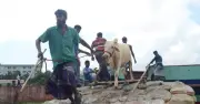 কোরবানি কবুলের ছয়টি শর্ত: আল্লাহর নৈকট্যের জন্য বিশুদ্ধতা জরুরি