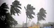 সদরপুরে কালবৈশাখী ঝড়ে গাছের ডাল ভেঙে পথচারী নিহত