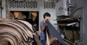 ঈদুল আজহায় চামড়া শিল্পে লবণ ও রাসায়নিকের মূল্যবৃদ্ধির আতঙ্ক