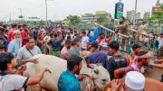 ঈদুল আজহায় গাবতলীর পশুর হাটে ক্রেতা-বিক্রেতাদের ভিড়