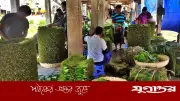 কুরবানির ঈদে ঝাঁজ পানের দাম ও বিক্রি বেড়েছে ফকিরহাটে