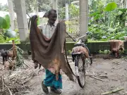 গাইবান্ধায় চামড়া বিক্রি করতে না পেরে বিপাকে ক্ষুদ্র ব্যবসায়ীরা