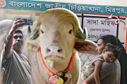 প্রথম আলোর ভিডিও প্রতিবেদন: বাংলাদেশের উন্নয়ন কর্মকাণ্ড নিয়ে আলোচনা