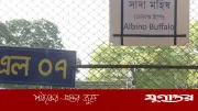 মহিষের নামে বানান ভুল: ‘ডোনাল্ড ট্টাম্প’ লিখে ভাইরাল চিড়িয়াখানা