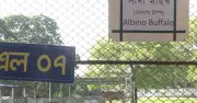 চিড়িয়াখানায় ‘ডোনাল্ড ট্টাম্প’: নামফলকে বানান ভুল নিয়ে হাস্যরস