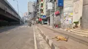 ঈদের ছুটিতে রাজধানীর কাঁচাবাজার সুনসান, ক্রেতা-বিক্রেতা কম