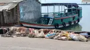 বিক্রি না হওয়ায় নদীর পাড়ে ফেলা কোরবানির চামড়া; গণপিটুনিতে যুবকের মৃত্যু