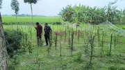 শরীয়তপুরে ককটেল বিস্ফোরণে শিশুর হাতের কবজি উড়ে গেছে