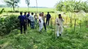 তৃণমূলে ভাঙন, ককটেল বিস্ফোরণে শিশুর হাত বিচ্ছিন্ন