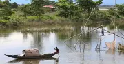 নেত্রকোনার হাওরে ৩১ দিন মাছ ধরা নিষিদ্ধ