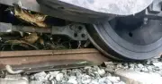 লাউয়াছড়ায় তেলবাহী বগি লাইনচ্যুত, উদ্ধার শেষে রেল যোগাযোগ স্বাভাবিক