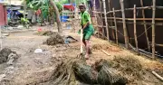ঢাকা সিটি কর্পোরেশনের আরও ৬ কর্মকর্তার বিরুদ্ধে ব্যবস্থা নেওয়ার নির্দেশ প্রধানমন্ত্রীর