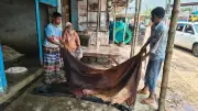 রাজারহাটে চামড়ার ন্যায্যমূল্য নিয়ে ক্রেতা-বিক্রেতাদের মধ্যে ক্ষোভ