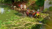 হাতিরঝিল লেকে পরিচ্ছন্নতা অভিযান শুরু রাজউকের