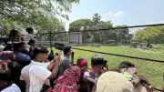 মহিষ ‘ডোনাল্ড ট্রাম্প’ দেখতে চিড়িয়াখানায় দর্শনার্থীদের ভিড়