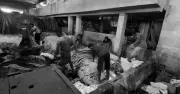 ঈদুল আজহায় সাভারে ৫ লাখের বেশি কাঁচা চামড়া এসেছে