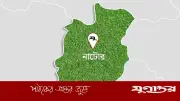 বড়াইগ্রামে মাছ চাষির স্বপ্ন ভাঙল প্রতিহিংসায়, পুকুরে বিষ দিয়ে মাছ নিধন