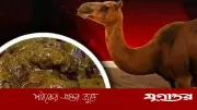 উটের গোশত খেলে অজু ভাঙে: হাদিসের আলোকে কারণ ও ব্যাখ্যা