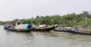 সুন্দরবনে তিন মাস প্রবেশ নিষেধাজ্ঞা শুরু ১ জুন
