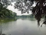 জাতীয় চিড়িয়াখানায় বড়শি দিয়ে মাছ ধরার সুযোগ